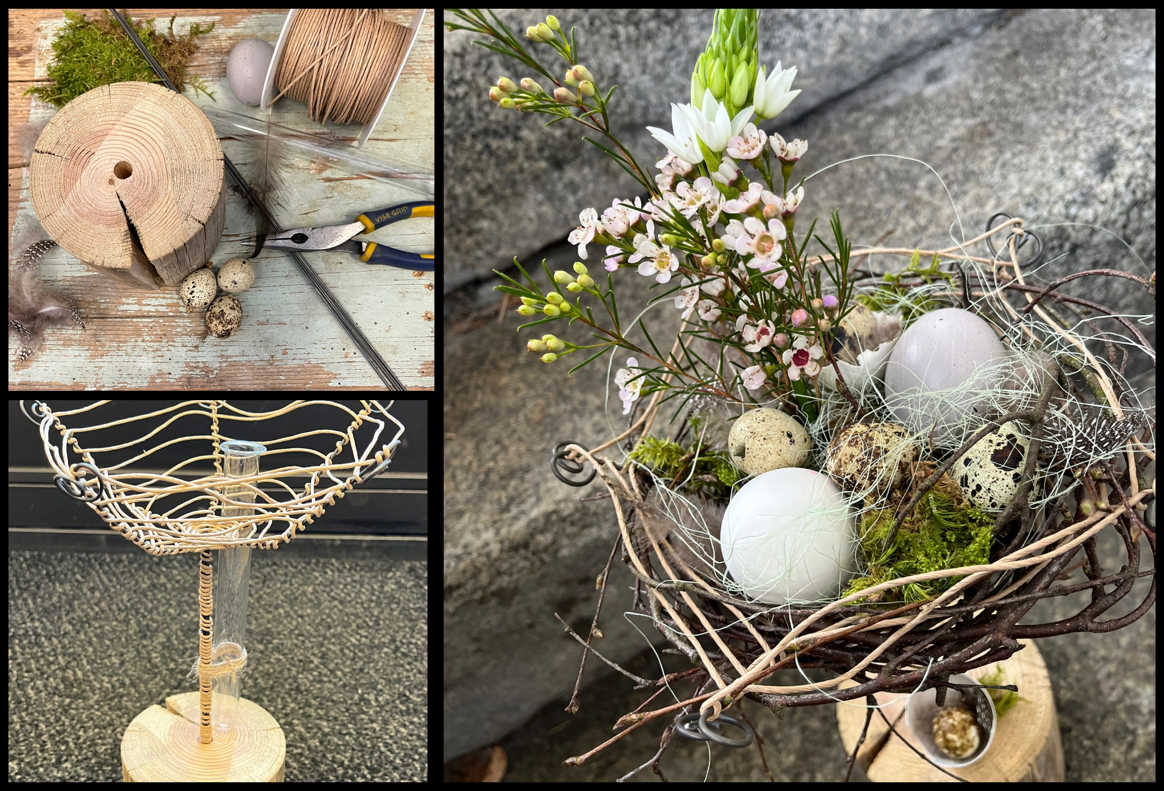 Fr&uuml;hling im Nest