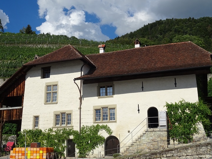 Besuch der Rebbaugenossenschaft Oberhofen